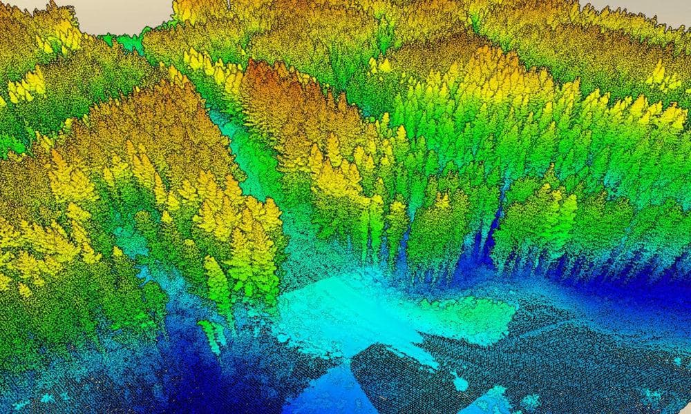 Сканирование лесных массивов